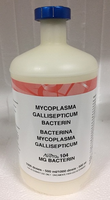 禽保雞慢性呼吸器病不活化菌苗 <br> AviPro 104 MG BACTERIN