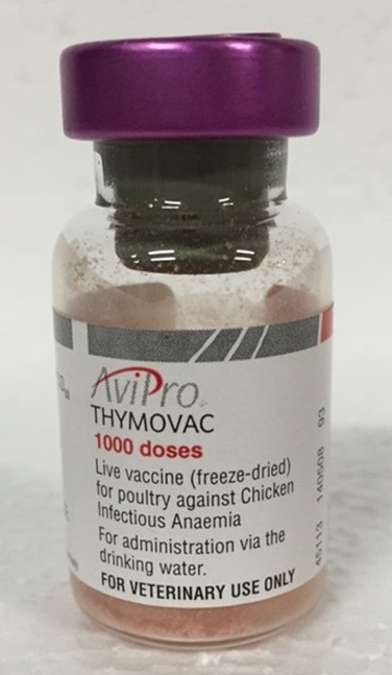 歐保雞傳染性貧血症活毒疫苗 <br> AviPro Thymovac