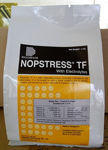 賜益特配 TF <br> NOPSTRESS TF